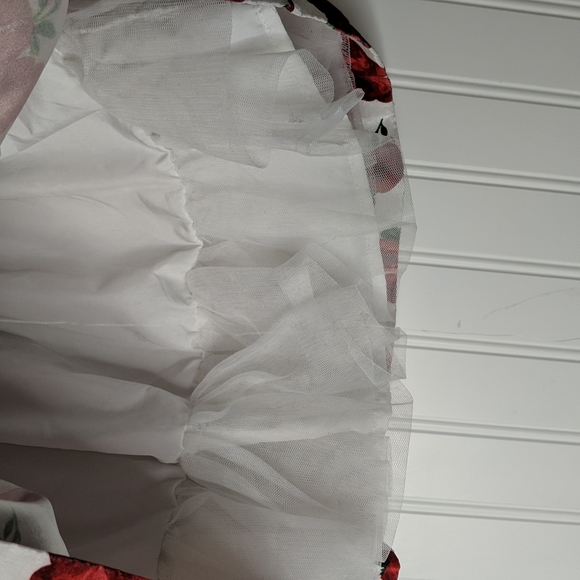 Gymboree Formal Red Roses Dress - Picture 3 of 6